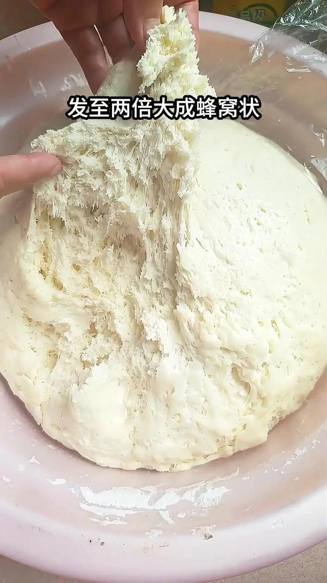 发面一般几个小时看这里!z6尊龙网站登录入口酵母(图10) 发面一般几个小时看这里!z6尊龙网站登录入口酵母(图10)