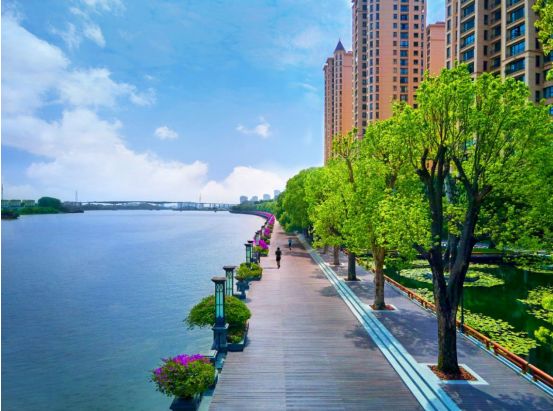 岛五號售楼处发布：以品质铸就传奇尊龙AG网站房票专场✅星河湾·半(图11)